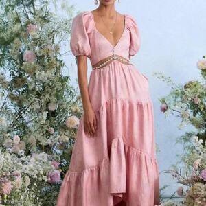 V. Chapman $585 Emma dress brand new with tags size 4